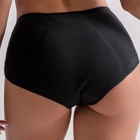 High-Waist Ultra Briefs Pee Panties 5 pcs – Stealthies