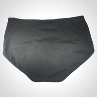 High-Waist Ultra Briefs Pee Panties 1 pc, Incontinence Underwear