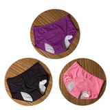 3 pcs Pee Proof Panties Leak Proof Absorbent Underwear